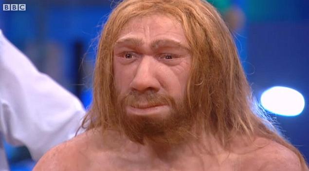 neanderthal25n-1-web