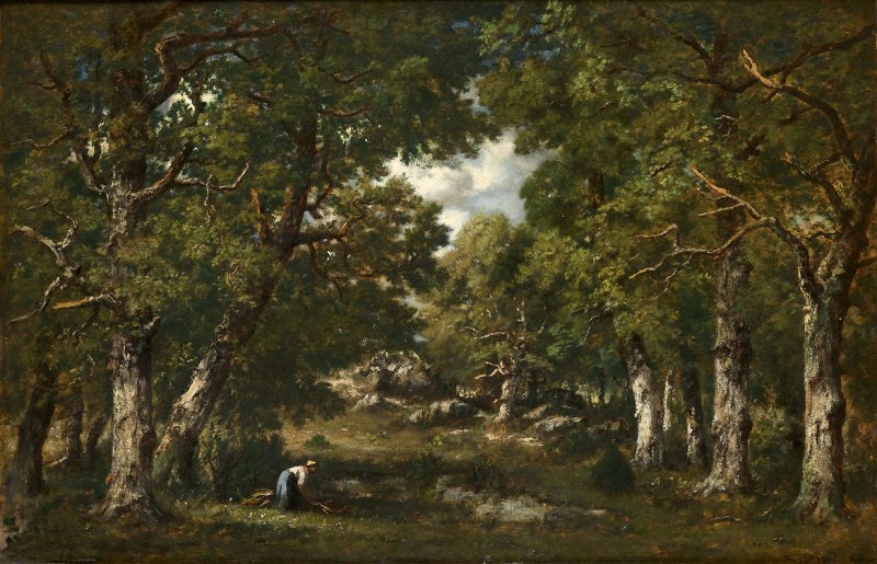 Femme-ramassant-du-bois-pres-dune-mare-en-foret (1)