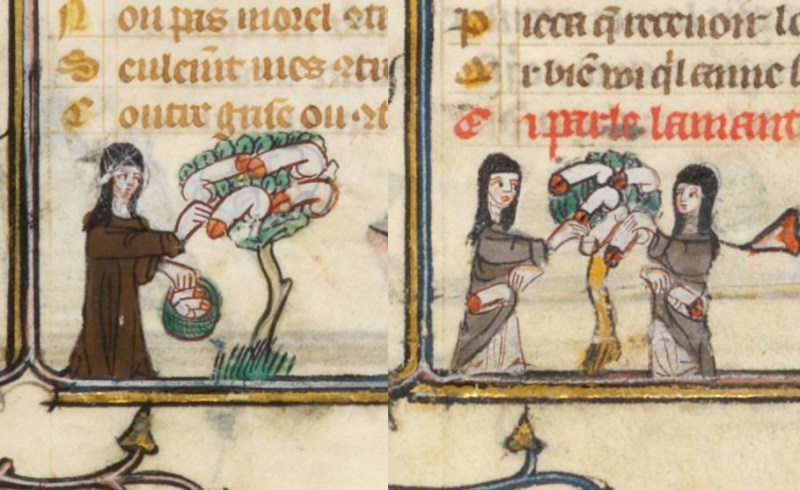 nuns and the penis tree Roman de la Rose, France 14th century. Paris, Bibliothèque nationale de France, Français 25526, fols. 106v, 160r